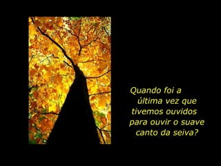 Quando foi a  última vez que tivemos ouvidos  para ouvir o suave canto da seiva? 