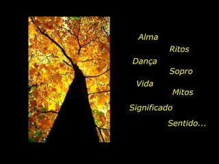 Alma Ritos Dança Sopro Vida Mitos Significado Sentido... 