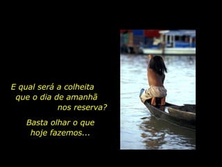 E qual será a colheita  que o dia de amanhã  nos reserva? Basta olhar o que hoje fazemos... 