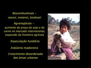 Biocombustíveis –  etanol, metanol, biodiesel  Agronegócios –  aumento do preço da soja e da carne no mercado internacional, expansão da fronteira agrícola Crescimento desordenado das áreas urbanas Especulação fundiária Indústria madeireira 