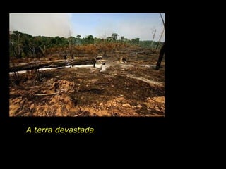 A terra devastada.  