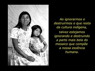 Ao ignorarmos e destruirmos o que resta da cultura indígena,  talvez estejamos ignorando e destruindo a parte mais bela do mosaico que compõe  a nossa essência humana. 