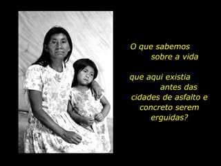 O que sabemos  sobre a vida  que aqui existia  antes das cidades de asfalto e concreto serem erguidas? 