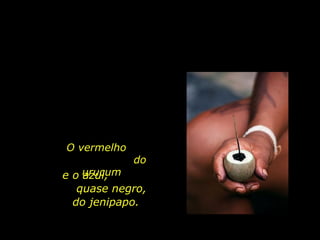 O vermelho  do urucum ...   e o azul,  quase negro, do jenipapo. 