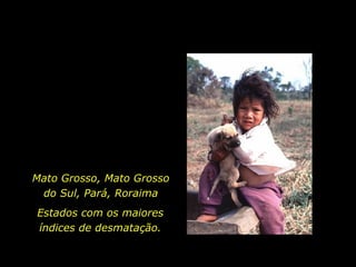 Mato Grosso, Mato Grosso
do Sul, Pará, Roraima
Estados com os maiores
índices de desmatação.

holdemqueen@hotmail.com

 
