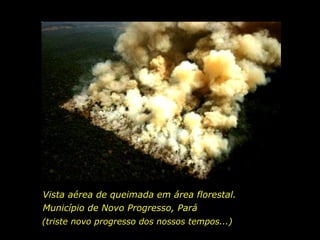Vista aérea de queimada em área florestal.
Município de Novo Progresso, Pará
(triste novo progresso dos nossos tempos...)
holdemqueen@hotmail.com

 