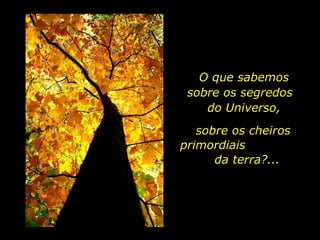 O que sabemos
O que sabemos
sobre os segredos
sobre as nossas
do Universo,
raízes mais
profundas?
sobre os cheiros
primordiais
da terra?...

holdemqueen@hotmail.com

 