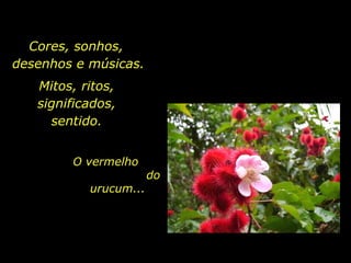 Cores, sonhos,
desenhos e músicas.
Mitos, ritos,
significados,
sentido.
O vermelho
urucum...

holdemqueen@hotmail.com

do

 