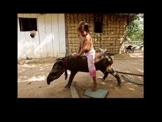 holdemqueen@hotmail.com

 