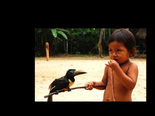 holdemqueen@hotmail.com

 