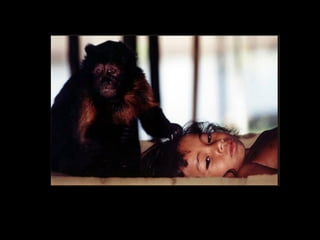 holdemqueen@hotmail.com

 