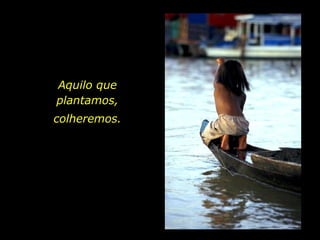 Aquilo que
plantamos,
colheremos.

holdemqueen@hotmail.com

 