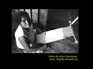 Índia da etnia Kaxinawa,
Acre, Região Amazónica

holdemqueen@hotmail.com

 