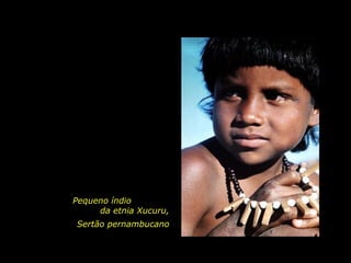 Pequeno índio
da etnia Xucuru,
Sertão pernambucano

holdemqueen@hotmail.com

 