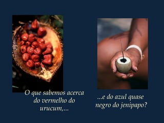 O que sabemos acerca
do vermelho do
urucum,...
...e do azul quase
negro do jenipapo?
 