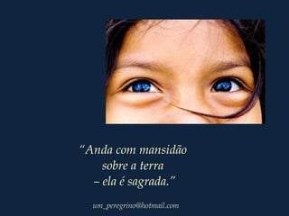 “Anda com mansidão
sobre a terra
– ela é sagrada.”
um_peregrino@hotmail.com
 