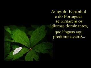 Antes do Espanhol  e do Português  se tornarem os idiomas dominantes, que línguas aqui predominavam?... 