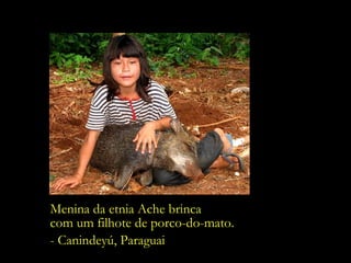 Menina da etnia Ache brinca  com um filhote de porco-do-mato. - Canindeyú, Paraguai 