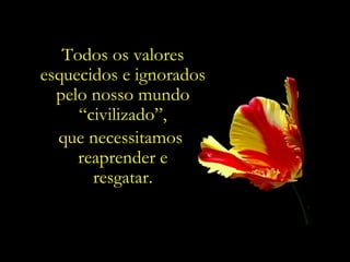 Todos os valores esquecidos e ignorados pelo nosso mundo “civilizado”, que necessitamos  reaprender e resgatar. 