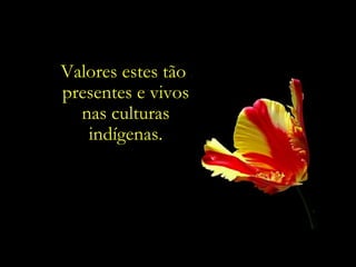 Valores estes tão  presentes e vivos nas culturas indígenas. 