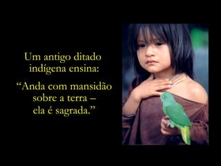 Um antigo ditado  indígena ensina: “ Anda com mansidão sobre a terra – ela é sagrada.” 