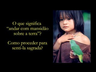 O que significa  “ andar com mansidão sobre a terra”? Como proceder para senti-la sagrada? 