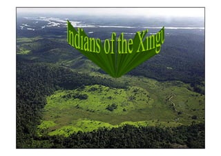 Indios do Xingu!