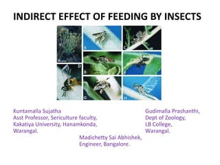 INDIRECT EFFECT OF FEEDING BY INSECTS
Kuntamalla Sujatha Gudimalla Prashanthi,
Asst Professor, Sericulture faculty, Dept of Zoology,
Kakatiya University, Hanamkonda, LB College,
Warangal. Warangal.
Madichetty Sai Abhishek,
Engineer, Bangalore.
 