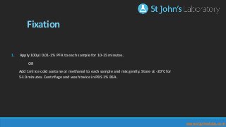 Fixation
1. Apply 100μl 0.01-1% PFA to each sample for 10-15 minutes.
OR
Add 1ml ice cold acetone or methanol to each sample and mix gently. Store at -20°C for
5-10 minutes. Centrifuge and wash twice in PBS 1% BSA.
www.stjohnslabs.com
 