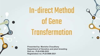 In-directMethod
ofGene
Transfermation
Presented by: Manisha Chaudhary
Department of Genetics and plant breeding
Roll no.: PLB-03M-2022
Registration no.:PLB-06M-2021
 