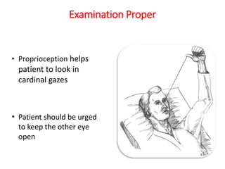 • Proprioception helps
patient to look in
cardinal gazes
• Patient should be urged
to keep the other eye
open
Examination Proper
 