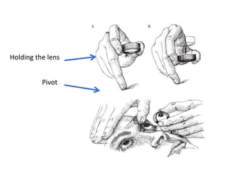 Holding the lens
Pivot
 