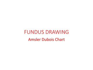 FUNDUS DRAWING
Amsler Dubois Chart
 