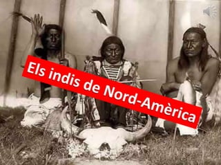 Els indis de Nord-Amèrica 