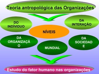 Teoria antropológica das Organizações DO INDÍVIDUO DA INTERAÇÃO NÍVEIS MUNDIAL DA ORGANIZAÇÃO Estudo do fator humano nas organizações DA SOCIEDADE MUNDIAL 