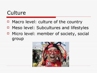 Culture Macro level: culture of the country Meso level: Subcultures and lifestyles Micro level: member of society, social group 