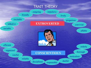 talkative
friendly
excitable
outgoing impulsive
lively
gregarious
convivial
sociable
affable
organized
efficient
careful
reliable
meticulous
thorough
orderly
dutiful
responsible
disciplined
EXTROVERTED
CONSCIENTIOUS
TRAIT THEORY
 