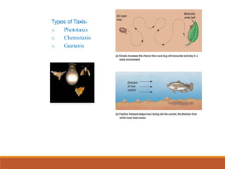 Innate and Instinct behaviour