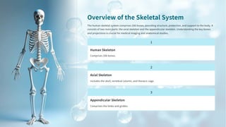 Individual Bones of the Human skeleton system....pdf