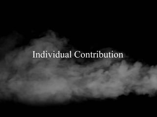 Individual Contribution
 