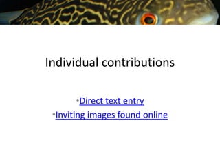 Individual contributions

        •Direct text entry
 •Inviting images found online
 