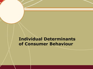 Individual Determinants
of Consumer Behaviour
 