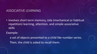 INDIVIDUAL DIFFERENCES - Theories Of Intelligence | PPTX