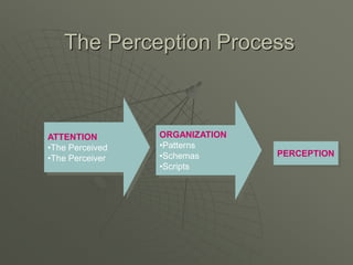 The Perception Process
ATTENTION
•The Perceived
•The Perceiver
ORGANIZATION
•Patterns
•Schemas
•Scripts
PERCEPTION
 