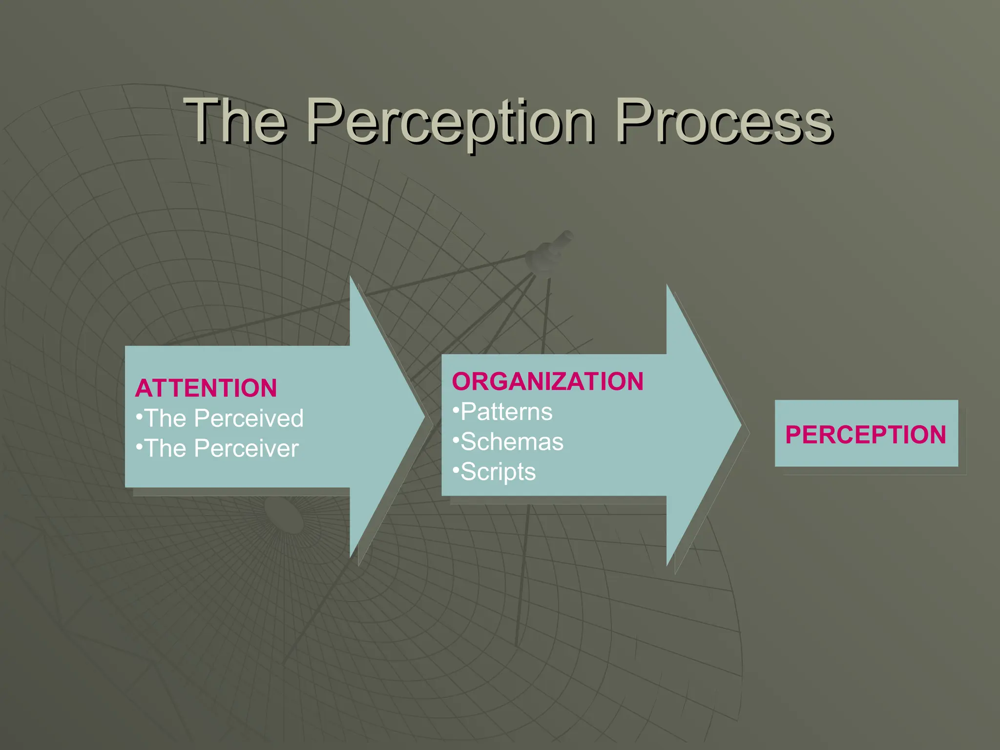 The Perception Process
The Perception Process
ATTENTION
•The Perceived
•The Perceiver
ORGANIZATION
•Patterns
•Schemas
•Scripts
PERCEPTION
 