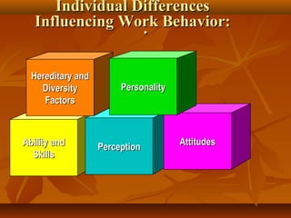 Individual Differences
Influencing Work Behavior:
.
Hereditary and
Diversity
Factors

Ability and
Skills

Personality

Perception

Attitudes

 