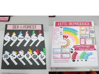 Individual documentation