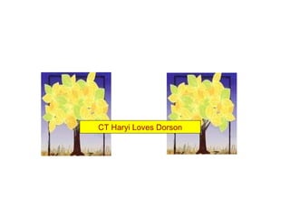 CT Haryi Loves Dorson
 