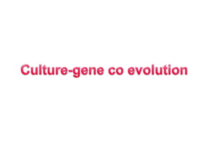 Culture-gene co evolution | PPTX