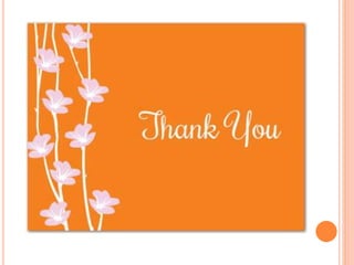 Individualist vs Collectivist Society